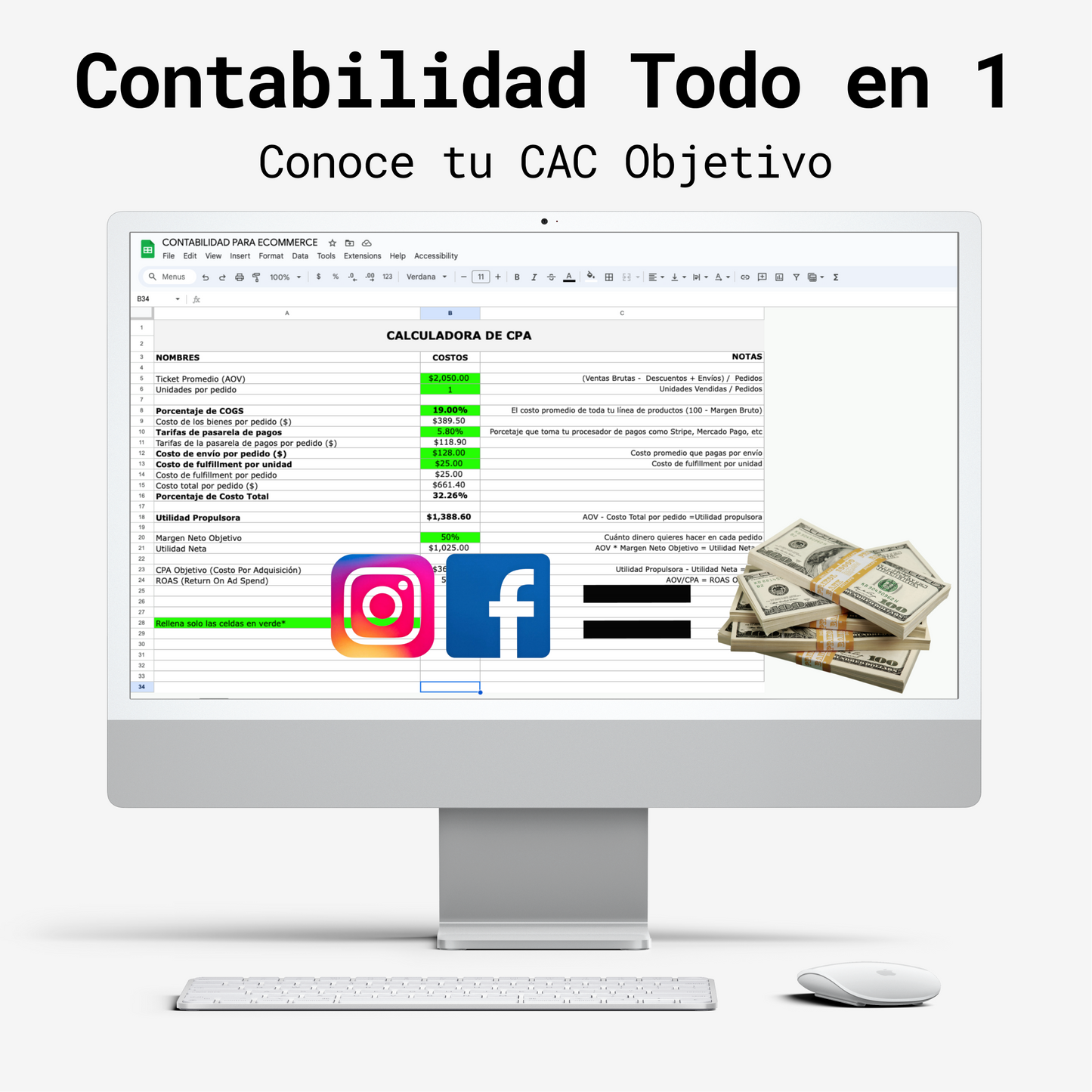Plantilla de Contabilidad Ecommerce